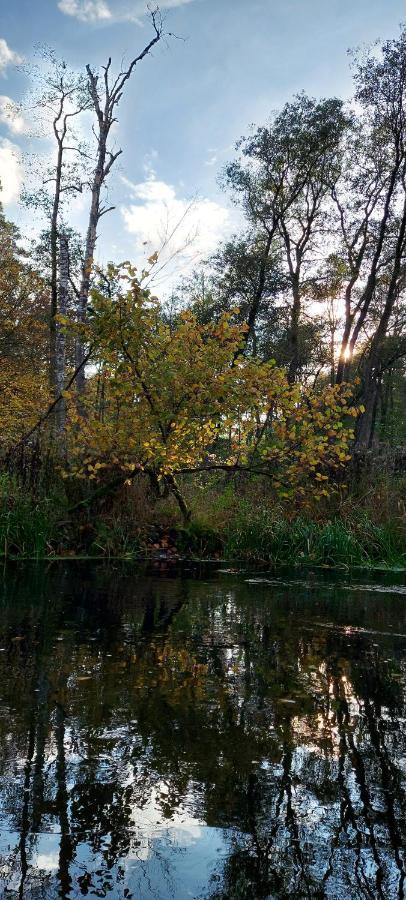 Osrodek Wypoczynkowy Nad Brda 호텔 투홀라 외부 사진