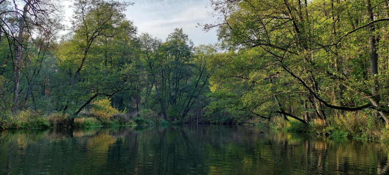 Osrodek Wypoczynkowy Nad Brda 호텔 투홀라 외부 사진