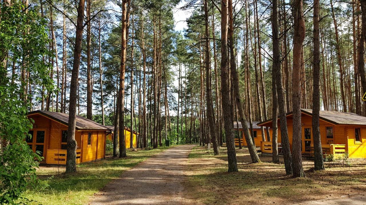 Osrodek Wypoczynkowy Nad Brda 호텔 투홀라 외부 사진